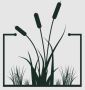 Commercial lawn care Columbia SC