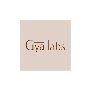 Hydrate & Glow Naturally – Gya Labs Organic Jojoba Carrier O