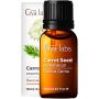 Gya Labs Carrot Seed Essential Oil – For Radiant & Youthful 