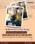 Wholesale Balloons in Bulk – Premium Party Picks by Haflaat