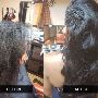 Hair Extension Specialist