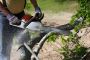 Tree Risk Assessment Minden – Certified Arborists You Can Tr