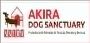Animal Rescue | Buying A House In Spain