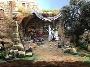 Discover the Magic of Christmas and Life in the Costa Blanca