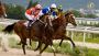 Unlock Winning Strategies with Horse Racing Handicapping Tip