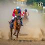 Harness Racing Enthusiasts - Find Your Community at Handicap
