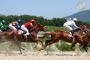 Triple Crown of Thoroughbred Racing – Chase the Glory, Feel 