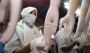 Use Latex hand gloves powdered for Medical purpose