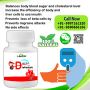 Living a healthy and happy life without diabetes