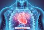 Comprehensive Heart Treatment in India with EdhaCare