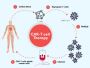 CAR T-Cell Therapy in India by EdhaCare: Affordable Access t