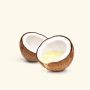 Virgin Coconut Oil for Sale Online – Best Prices Guaranteed
