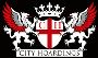Multi-Award Winning Site Hoarding Contractor – Expert Soluti