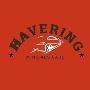 Havering Minicabs Cars