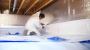 Hawk Crawl Space & Foundation Repair: Your Crawl Space Encap