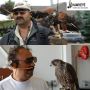Expert Help for Raccoon Removal in Toronto