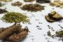 Feel Better Naturally at Healing Co Acupuncture in Denver