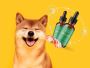 Pawbiotix Enhancing Your Dog's Health Naturally