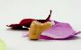 Buy Affordable Hearing Aids Online Buy Affordable Hearing Aids Online