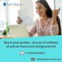 Need affordable Assignment writing service in cheap expenses