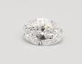 Buy Oval Cut Lab Grown Diamond