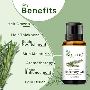 Essential Oil Manufacturing Companies
