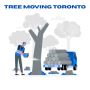 Toronto Tree Moving Services for Homes & Businesses—Heritage Tree Care Inc.