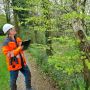 Tree Surgeon Killarney | Green and Growing | Ireland