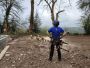 Best tree surgeons Macroom | Heritage Tree Care Ltd