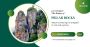Pillar Rock, Kodaikanal – A Majestic Viewpoint in the Hills