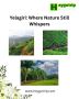 Why Yelagiri Is a Hidden Paradise for Nature Seekers in Tami