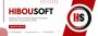 HiBOUSOFT IT Solutions - Web Design and Development Company 