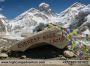 Everest Base Camp Trek Cost