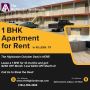 Cozy 1 Bedroom Apartments for Rent in Killeen, TX