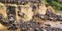 Private Guided Safari in Kenya – Travel Your Way