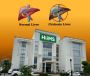 Liver Detox Ayurveda Therapy at HiiMS Panchkula