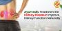 Ayurvedic Treatment for Kidney Disease