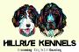 Hillrise Kennels Hillrise Kennels