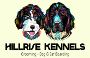 Hillrise Kennels