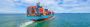 International Movers and Packers: Making Relocation Hassle-F
