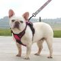 Ohio French Bulldogs Friendly, Loving, and Ready for a New H Ohio French Bulldogs Friendly, Loving, and Ready for a New H