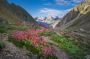 Hampta Pass: Where Valleys Whisper, and Mountains Reveal The