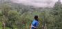 Upper Shimla's Apple Orchards: A Taste of Himalayan Harvest