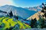 Discover the Magic of Kedarkantha Snow Trek - Himalaya Tribe