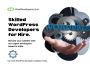 Hire Our Skilled WordPress Developers In India Hire Our Skilled WordPress Developers In India