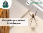 Rid Your Homes From Spider Webs With Pest Control Services