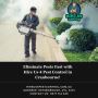 Eliminate Pests Fast with Hire Us 4 Pest