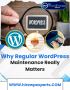  Why Regular WordPress Maintenance Really Matters
