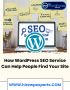    How WordPress SEO Service Can Help People Find Your Site