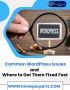  Common WordPress Issues and Where to Get Them Fixed Fast